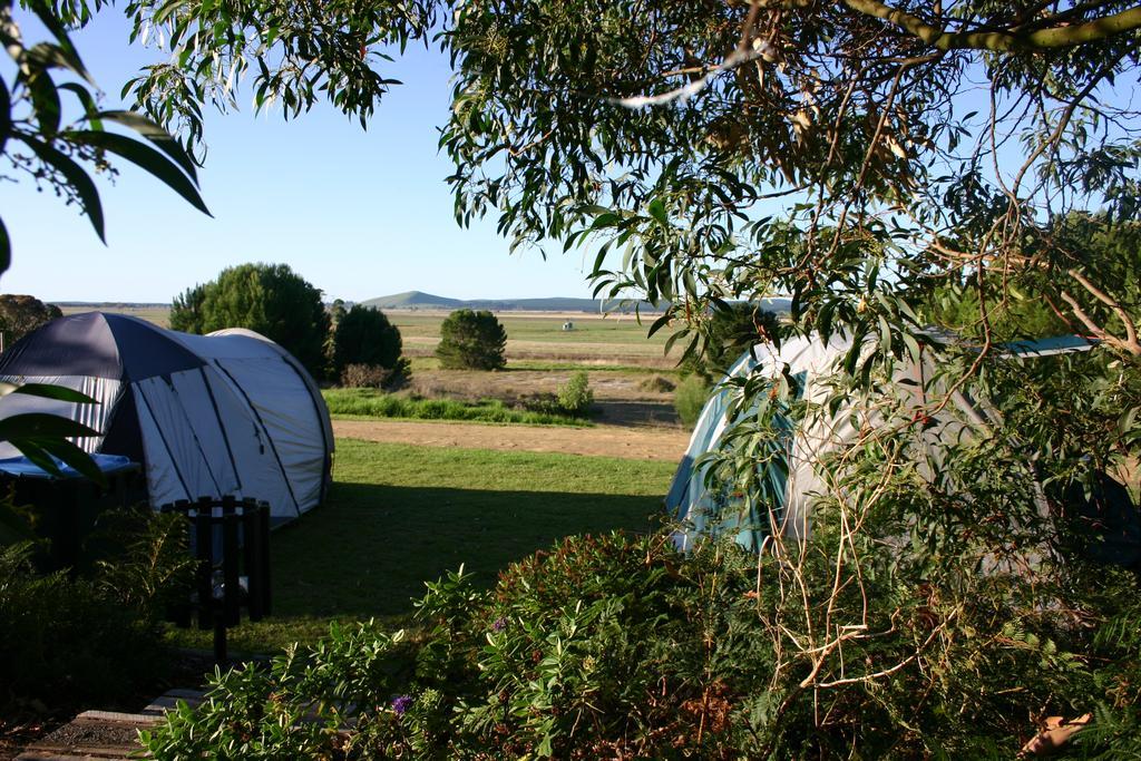 Millicent Hillview Caravan Park Exterior photo